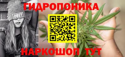 молекула духа Берёзовский