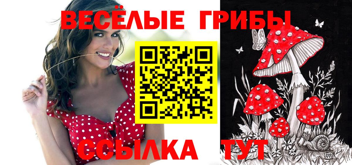 Галлюциногенные грибы мицелий Киселёвск