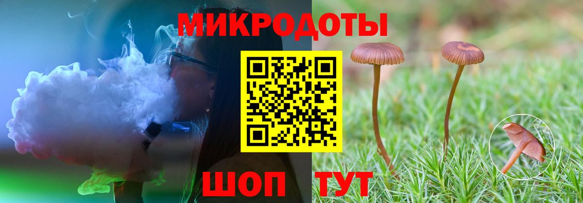 Киселёвск  закладки  Вход с VPN  Галлюциногенные грибы Magic Shrooms 