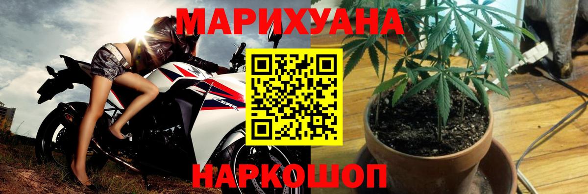 Бошки Шишки гибрид  Вход с VPN  Киселёвск  Марихуана сатива  Каннабис AK-47 